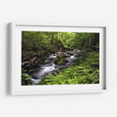 Banco De Helechos - Danny Head | Cuadro decorativo de Canvas Lab