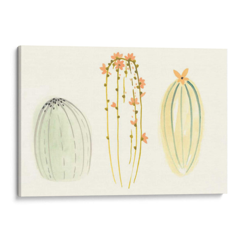 Funky Succulents I - June Erica Vess | Cuadro decorativo de Canvas Lab