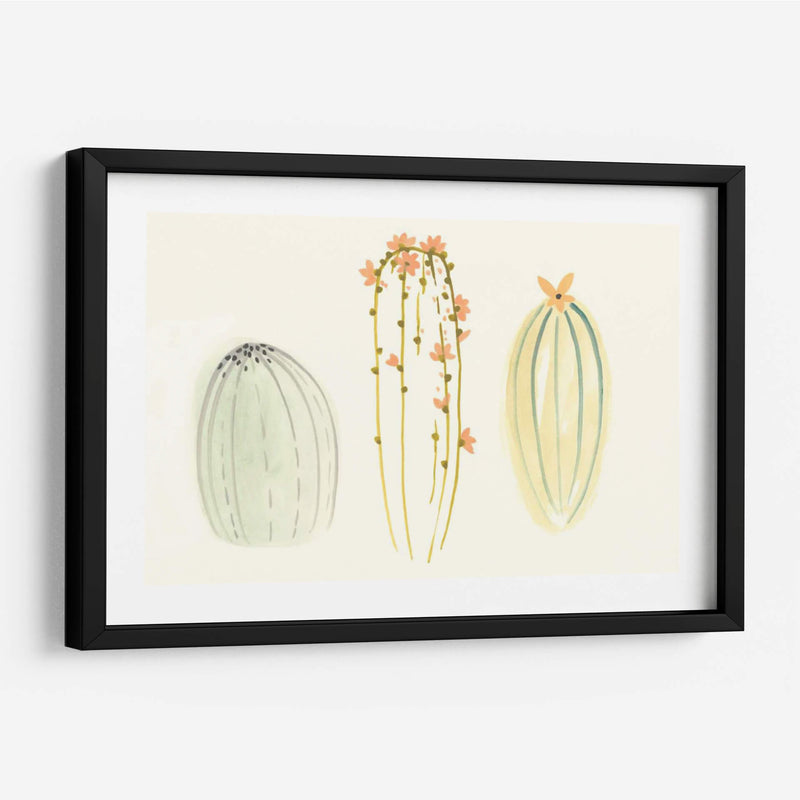 Funky Succulents I - June Erica Vess | Cuadro decorativo de Canvas Lab