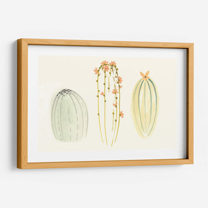 Funky Succulents I - June Erica Vess | Cuadro decorativo de Canvas Lab