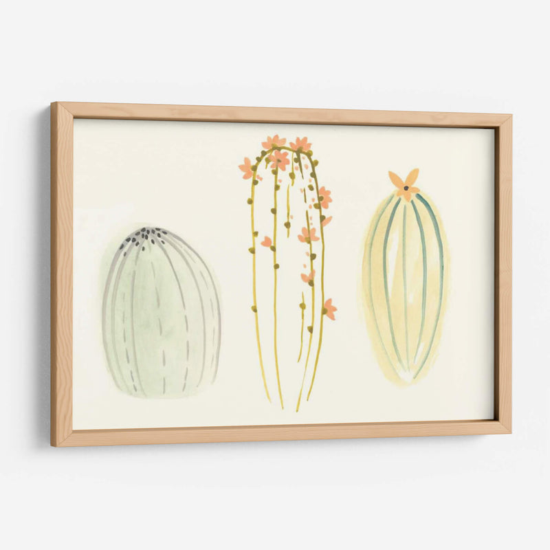 Funky Succulents I - June Erica Vess | Cuadro decorativo de Canvas Lab