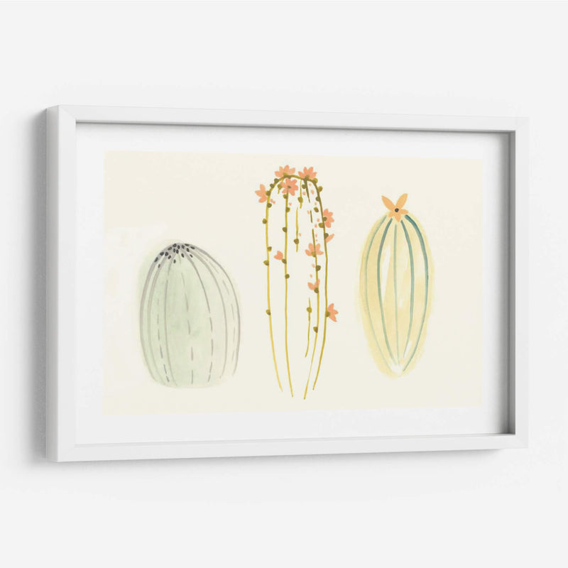 Funky Succulents I - June Erica Vess | Cuadro decorativo de Canvas Lab