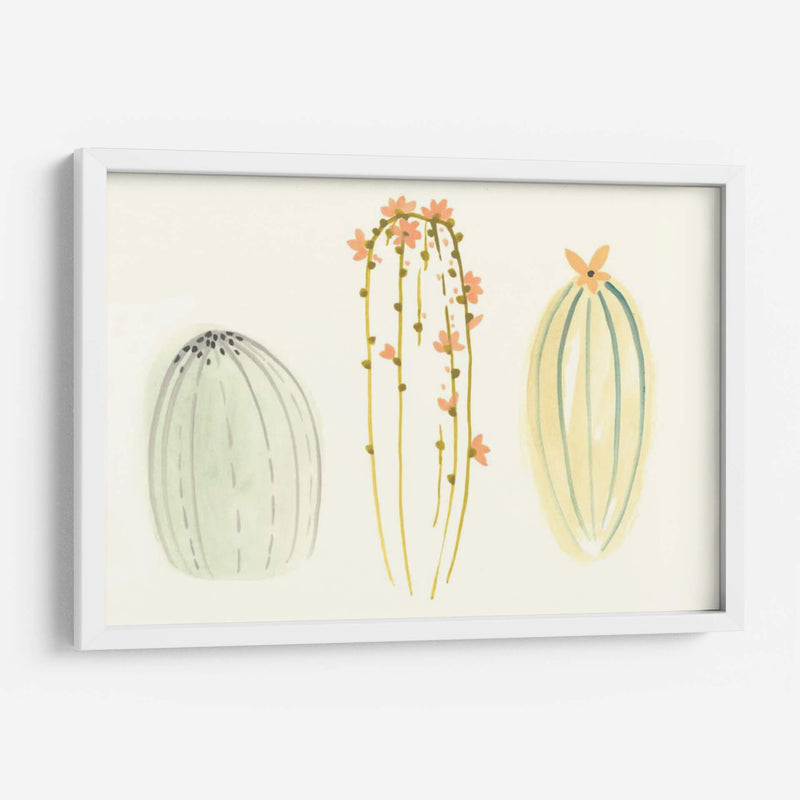 Funky Succulents I - June Erica Vess | Cuadro decorativo de Canvas Lab