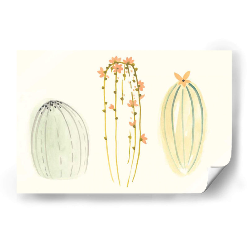 Funky Succulents I - June Erica Vess | Cuadro decorativo de Canvas Lab