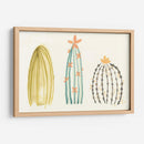 Funky Succulents Ii - June Erica Vess | Cuadro decorativo de Canvas Lab