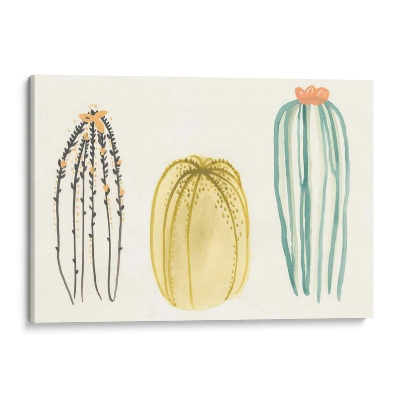 Funky Succulents Iii - June Erica Vess | Cuadro decorativo de Canvas Lab