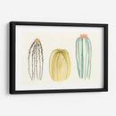 Funky Succulents Iii - June Erica Vess | Cuadro decorativo de Canvas Lab