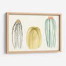 Funky Succulents Iii - June Erica Vess | Cuadro decorativo de Canvas Lab