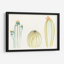 Funky Succulents Iv - June Erica Vess | Cuadro decorativo de Canvas Lab