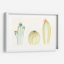 Funky Succulents Iv - June Erica Vess | Cuadro decorativo de Canvas Lab