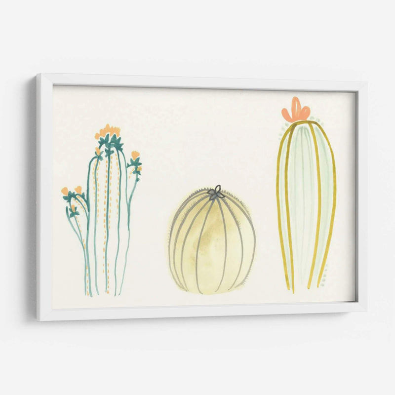 Funky Succulents Iv - June Erica Vess | Cuadro decorativo de Canvas Lab