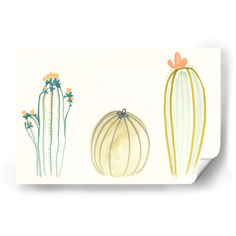 Funky Succulents Iv - June Erica Vess | Cuadro decorativo de Canvas Lab