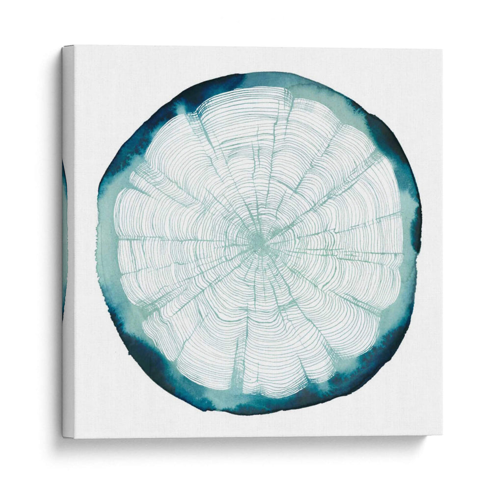 Superposición Del Anillo De Árbol Ii - Grace Popp | Cuadro decorativo de Canvas Lab