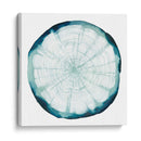 Superposición Del Anillo De Árbol Ii - Grace Popp | Cuadro decorativo de Canvas Lab