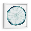 Superposición Del Anillo De Árbol Ii - Grace Popp | Cuadro decorativo de Canvas Lab