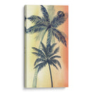 Vintage Palms Ii - Grace Popp | Cuadro decorativo de Canvas Lab