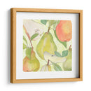 Pera Medley Ii - Leslie Mark | Cuadro decorativo de Canvas Lab