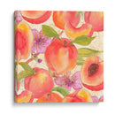 Melocotón Mexy I - Leslie Mark | Cuadro decorativo de Canvas Lab
