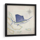 Mapa De Pez Vela Ii - Rick Novak | Cuadro decorativo de Canvas Lab