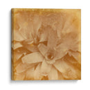 Halia Aloha I - Jason Johnson | Cuadro decorativo de Canvas Lab