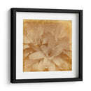 Halia Aloha I - Jason Johnson | Cuadro decorativo de Canvas Lab