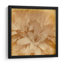 Halia Aloha I - Jason Johnson | Cuadro decorativo de Canvas Lab