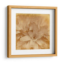Halia Aloha I - Jason Johnson | Cuadro decorativo de Canvas Lab