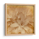 Halia Aloha I - Jason Johnson | Cuadro decorativo de Canvas Lab
