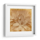 Halia Aloha I - Jason Johnson | Cuadro decorativo de Canvas Lab