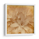 Halia Aloha I - Jason Johnson | Cuadro decorativo de Canvas Lab