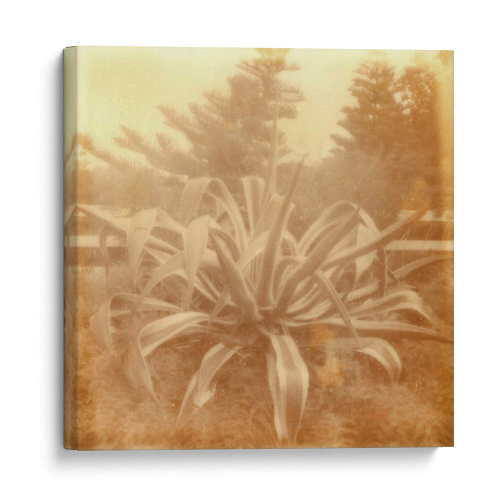 Halia Aloha Ii - Jason Johnson | Cuadro decorativo de Canvas Lab