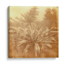 Halia Aloha Ii - Jason Johnson | Cuadro decorativo de Canvas Lab