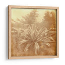 Halia Aloha Ii - Jason Johnson | Cuadro decorativo de Canvas Lab