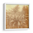 Halia Aloha Ii - Jason Johnson | Cuadro decorativo de Canvas Lab