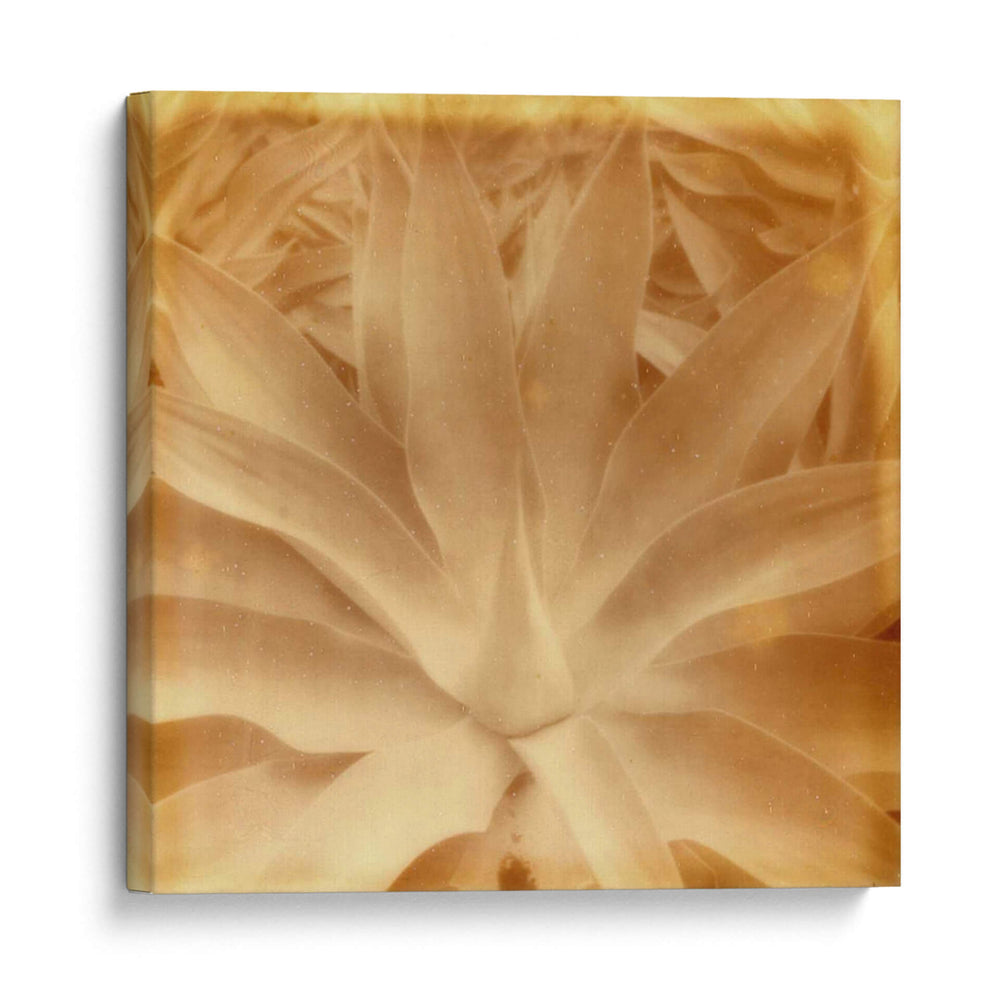 Halia Aloha Iii - Jason Johnson | Cuadro decorativo de Canvas Lab