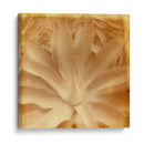 Halia Aloha Iii - Jason Johnson | Cuadro decorativo de Canvas Lab