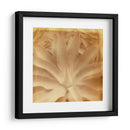 Halia Aloha Iii - Jason Johnson | Cuadro decorativo de Canvas Lab