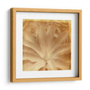 Halia Aloha Iii - Jason Johnson | Cuadro decorativo de Canvas Lab