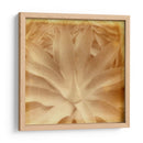Halia Aloha Iii - Jason Johnson | Cuadro decorativo de Canvas Lab