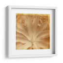 Halia Aloha Iii - Jason Johnson | Cuadro decorativo de Canvas Lab