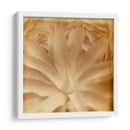 Halia Aloha Iii - Jason Johnson | Cuadro decorativo de Canvas Lab