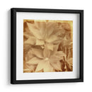 Halia Aloha Iv - Jason Johnson | Cuadro decorativo de Canvas Lab