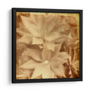 Halia Aloha Iv - Jason Johnson | Cuadro decorativo de Canvas Lab