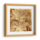 Halia Aloha Iv - Jason Johnson | Cuadro decorativo de Canvas Lab