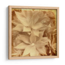 Halia Aloha Iv - Jason Johnson | Cuadro decorativo de Canvas Lab