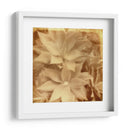 Halia Aloha Iv - Jason Johnson | Cuadro decorativo de Canvas Lab