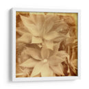 Halia Aloha Iv - Jason Johnson | Cuadro decorativo de Canvas Lab
