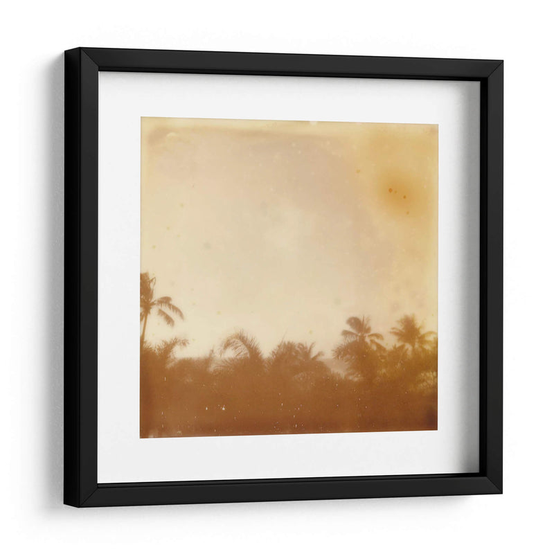 Halia Aloha Vii - Jason Johnson | Cuadro decorativo de Canvas Lab