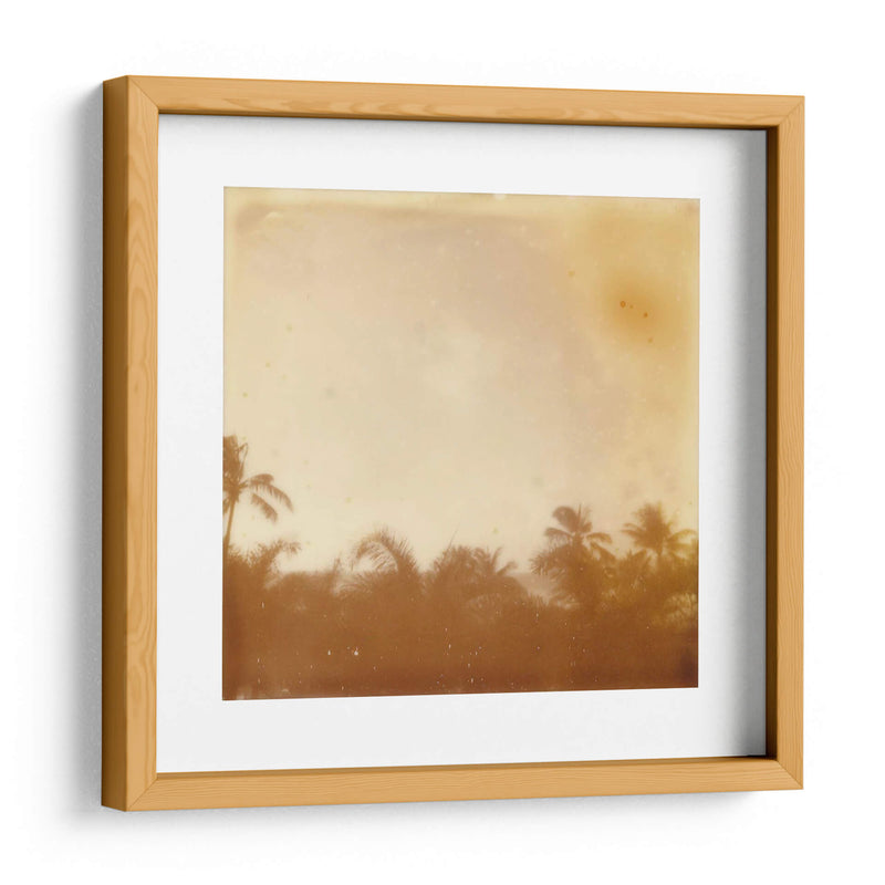 Halia Aloha Vii - Jason Johnson | Cuadro decorativo de Canvas Lab