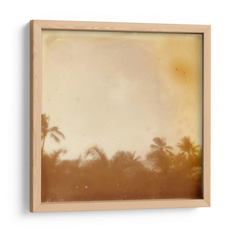 Halia Aloha Vii - Jason Johnson | Cuadro decorativo de Canvas Lab